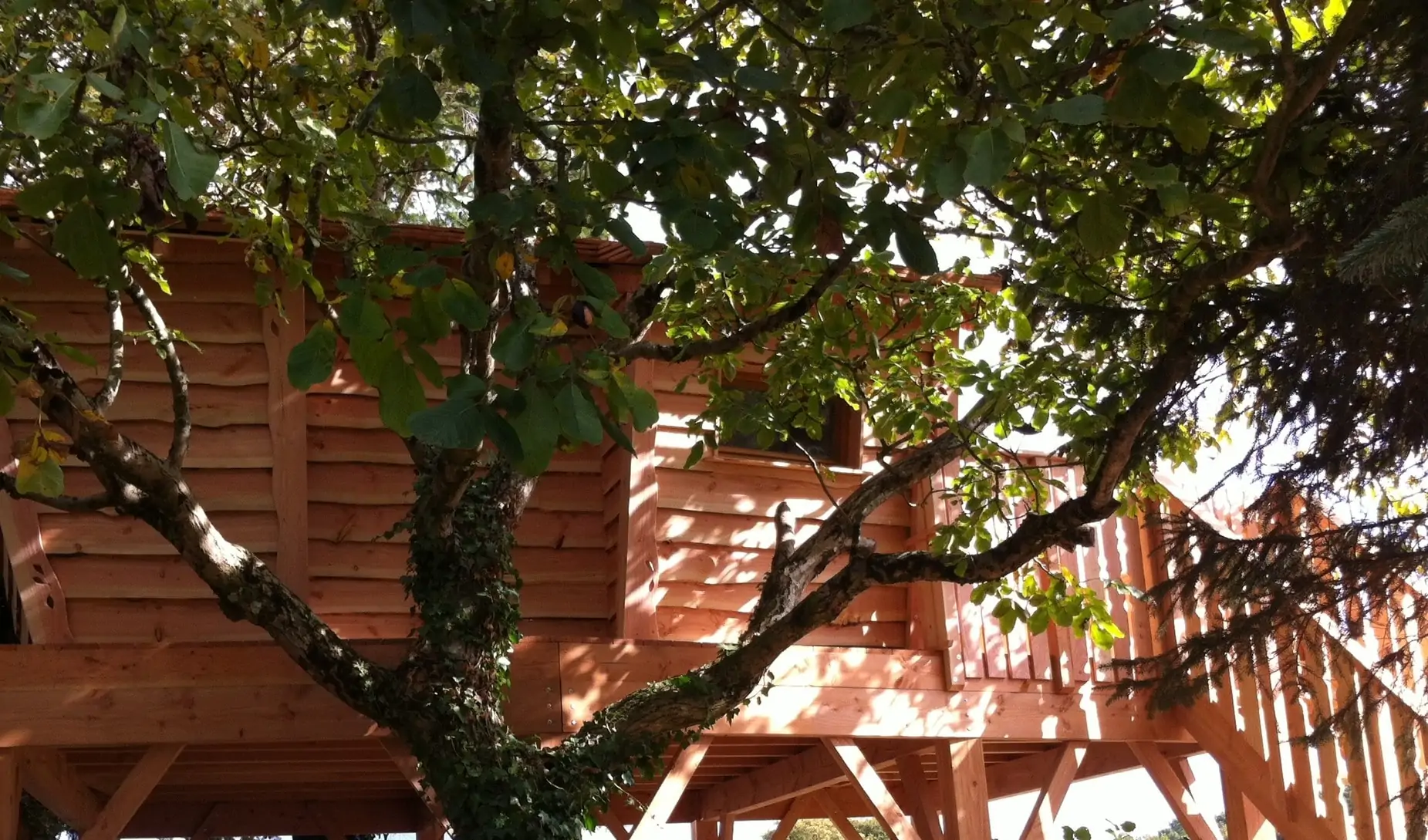cabane morbihan-min cabane sur pilotis